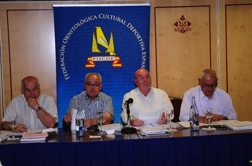 Asamblea General FOCDE 2014