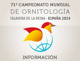 MUNDIAL 2024