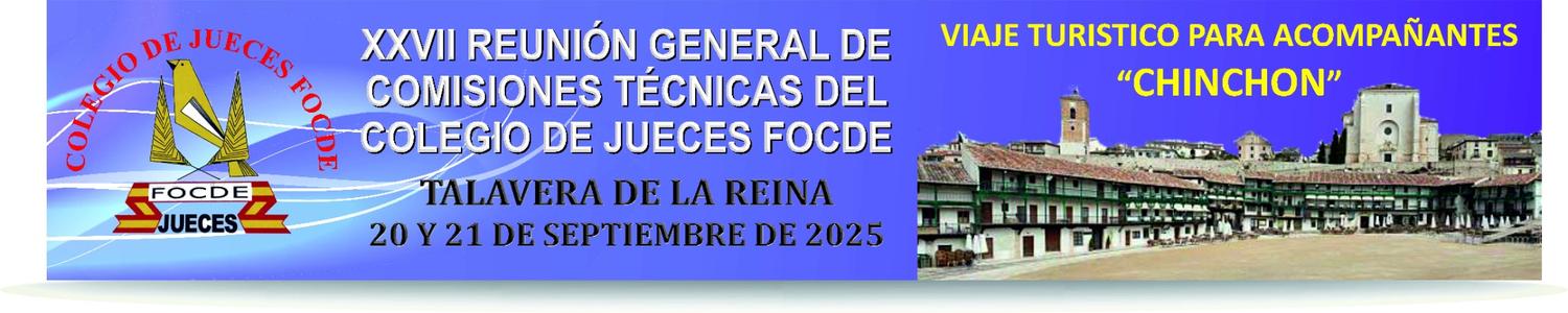 COMISIONES TÉCNICAS 2025