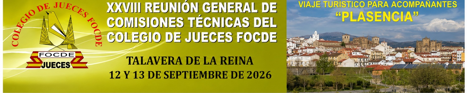 COMISIONES TÉCNICAS 2026