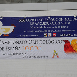 Campeonato Ornitológico de España FOCDE 2009