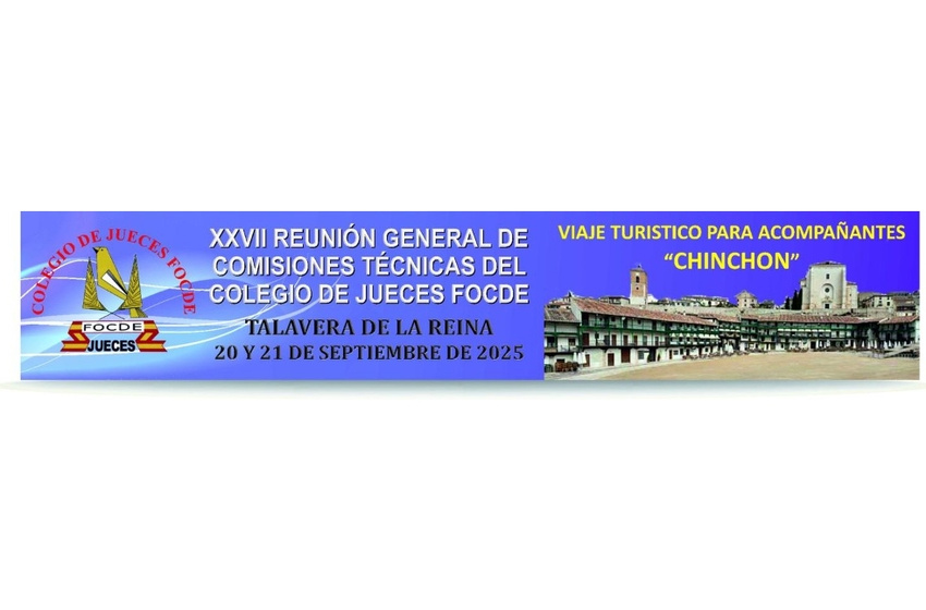 COMISIONES TÉCNICAS 2025