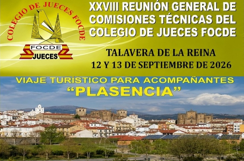 COMISIONES TÉCNICAS 2026