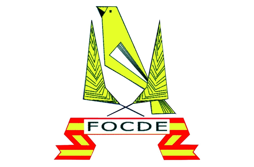 NUEVO SERVICIO FOCDE