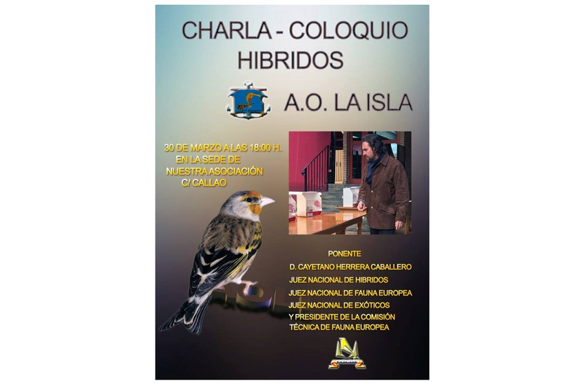 CHARLA-COLOQUIO HÍBRIDOS