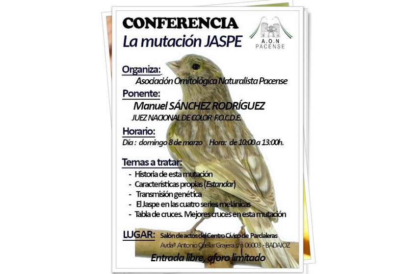 CONFERENCIA - MUTACIÓN DEL JASPE