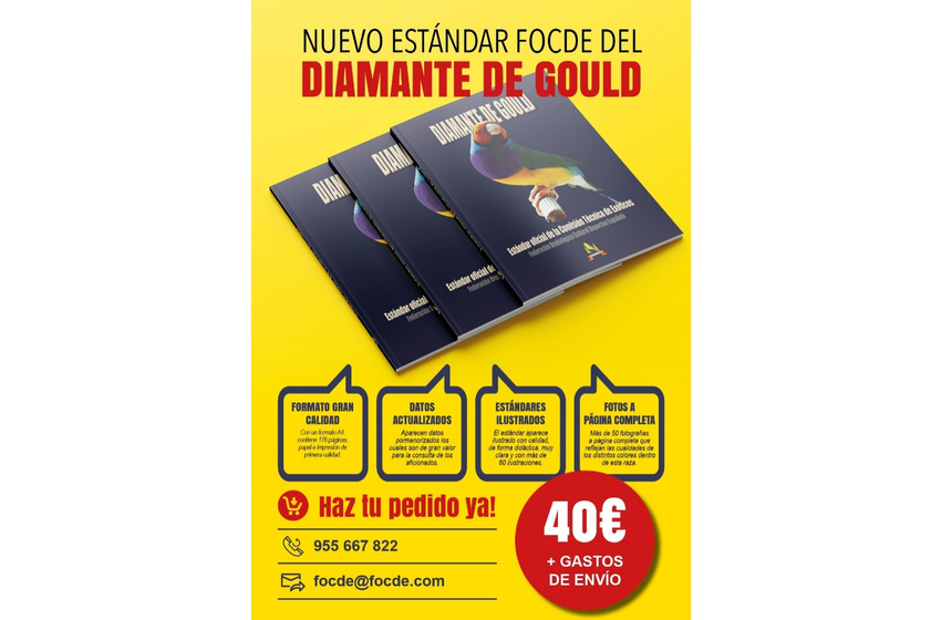 NUEVO ESTÁNDAR FOCDE DEL DIAMANTE DE GOULD