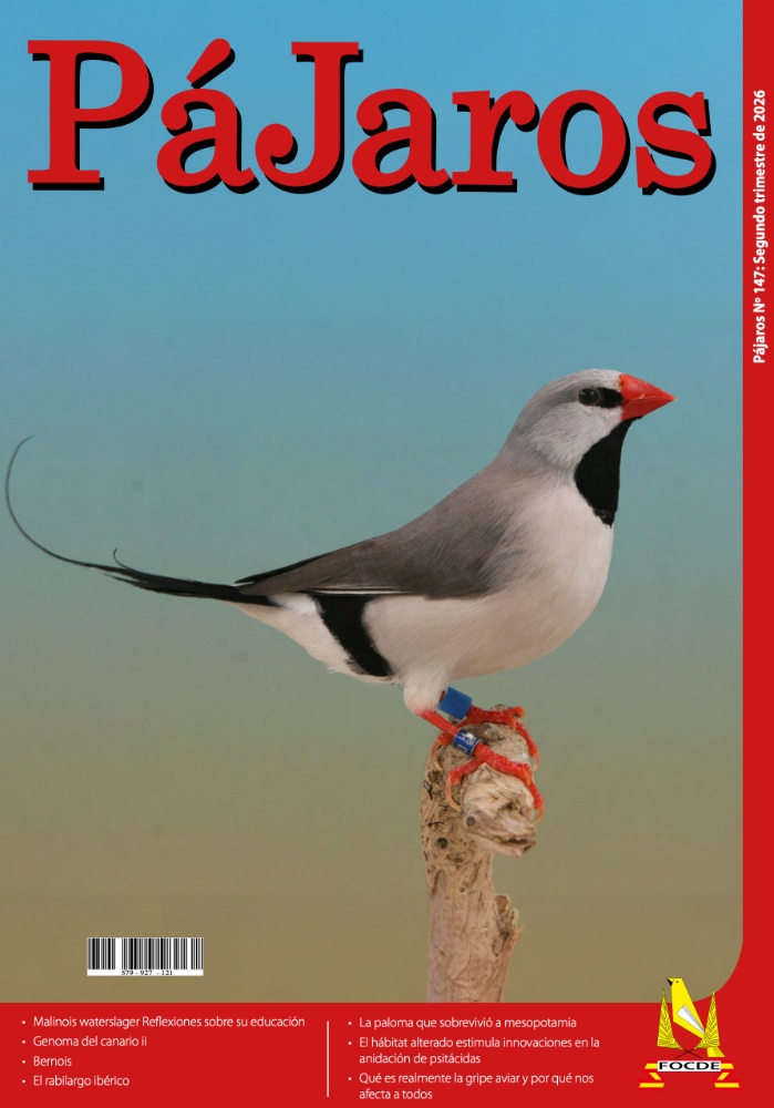 Revista pájaros: Segundo trimestre 2026