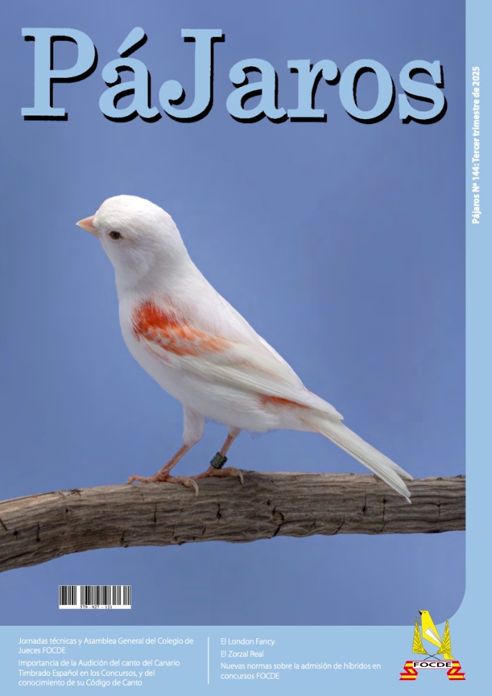Revista pájaros: Tercer trimestre 2025