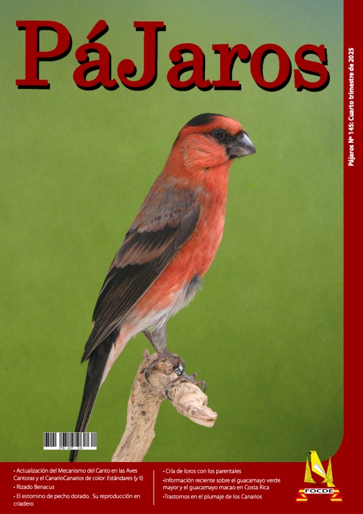Revista pájaros: Cuarto trimestre de 2025