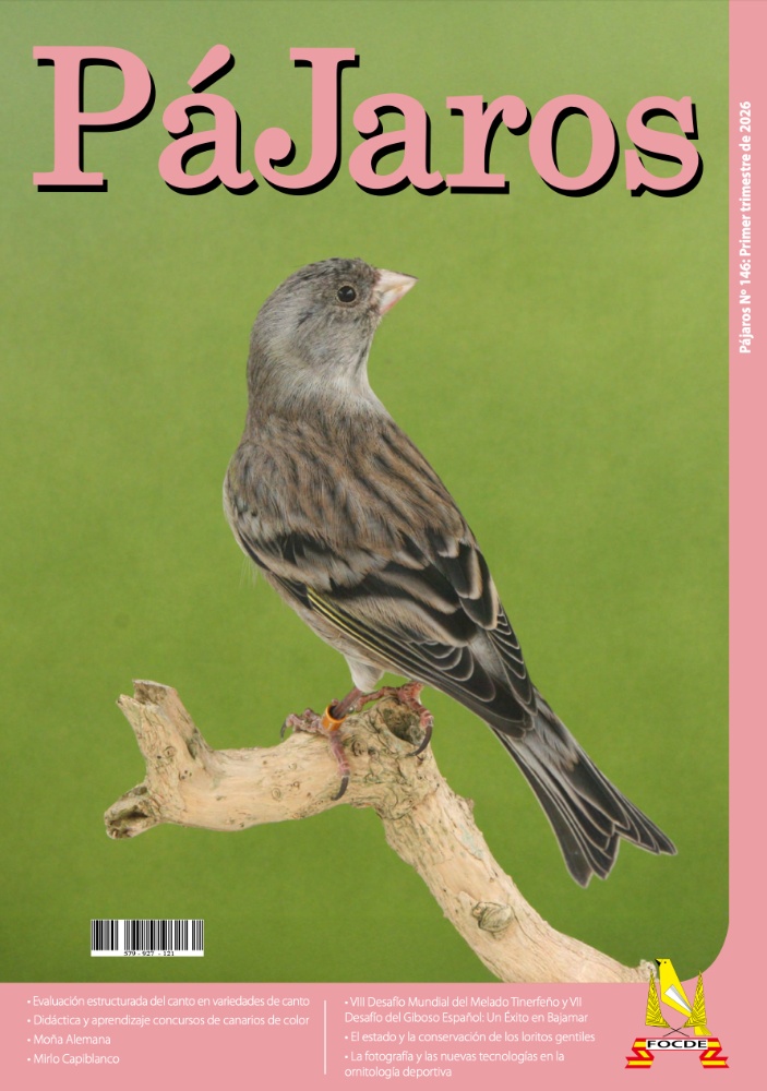 Revista pájaros: Primer trimestre 2026